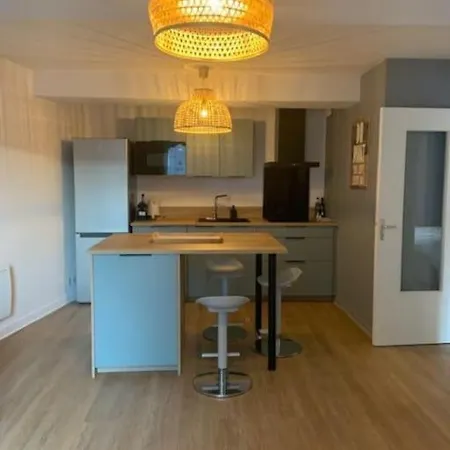 Maison Hyper Centre Maxi 20pers Tour D'auvergne Apartment